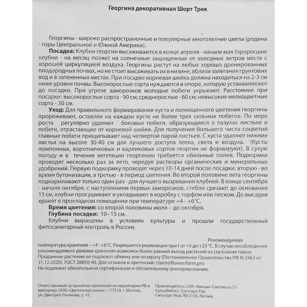 Георгина декоративная Шорт Трек 1 шт BLOOMING LIFE STLM-2188364 - Вид №2