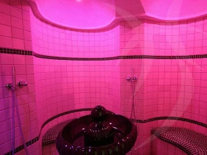 Happy Sauna Сборная турецкая баня с ароматерапией