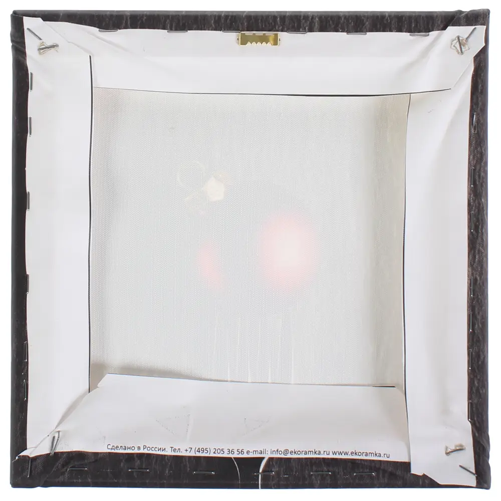 Картина на холсте «Шарик на вилке» 30x30 см Santreyd STLM-2138976 - Вид №2