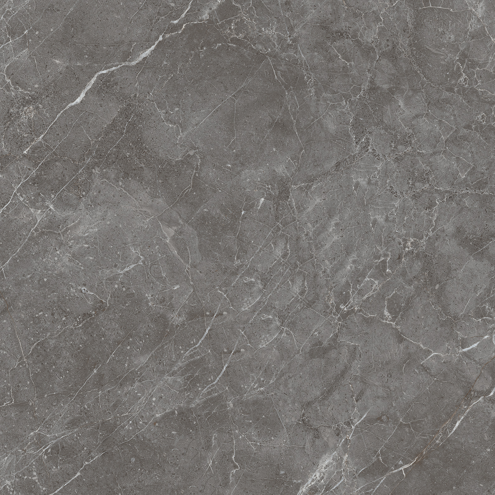 Керамогранит ESPERIA GRIGIO 60х60 Arcadia Ceramica CR6001-A  - Вид №12