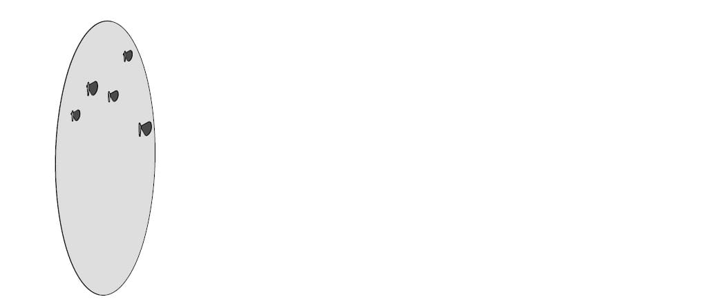 Овальное настенное зеркало с 5 бабочками вешалка для одежды In Stock Mogg ARCH-00025219 - Вид №4