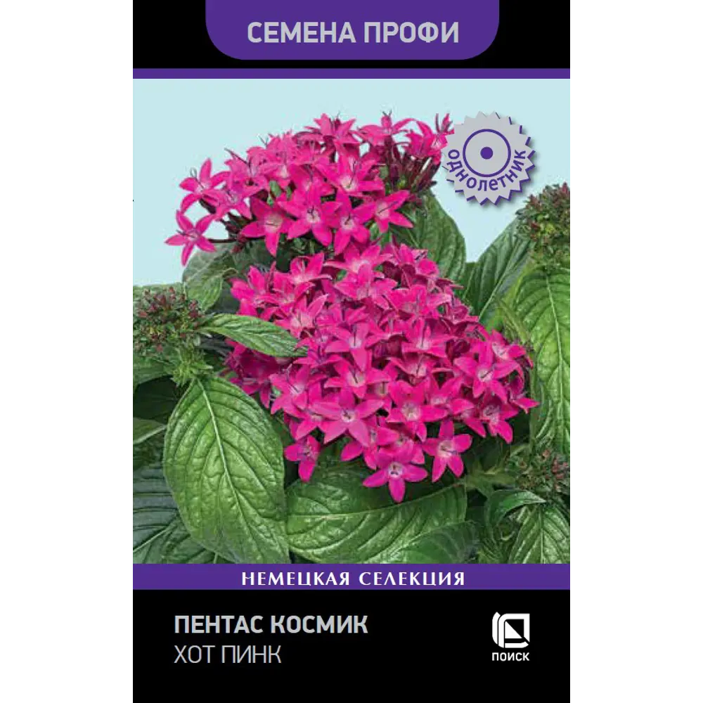 Пентас Космик Хот Пинк от ПОИСК - звездчатые цветы карминно-розового оттенка 89402694 STLM-1571907