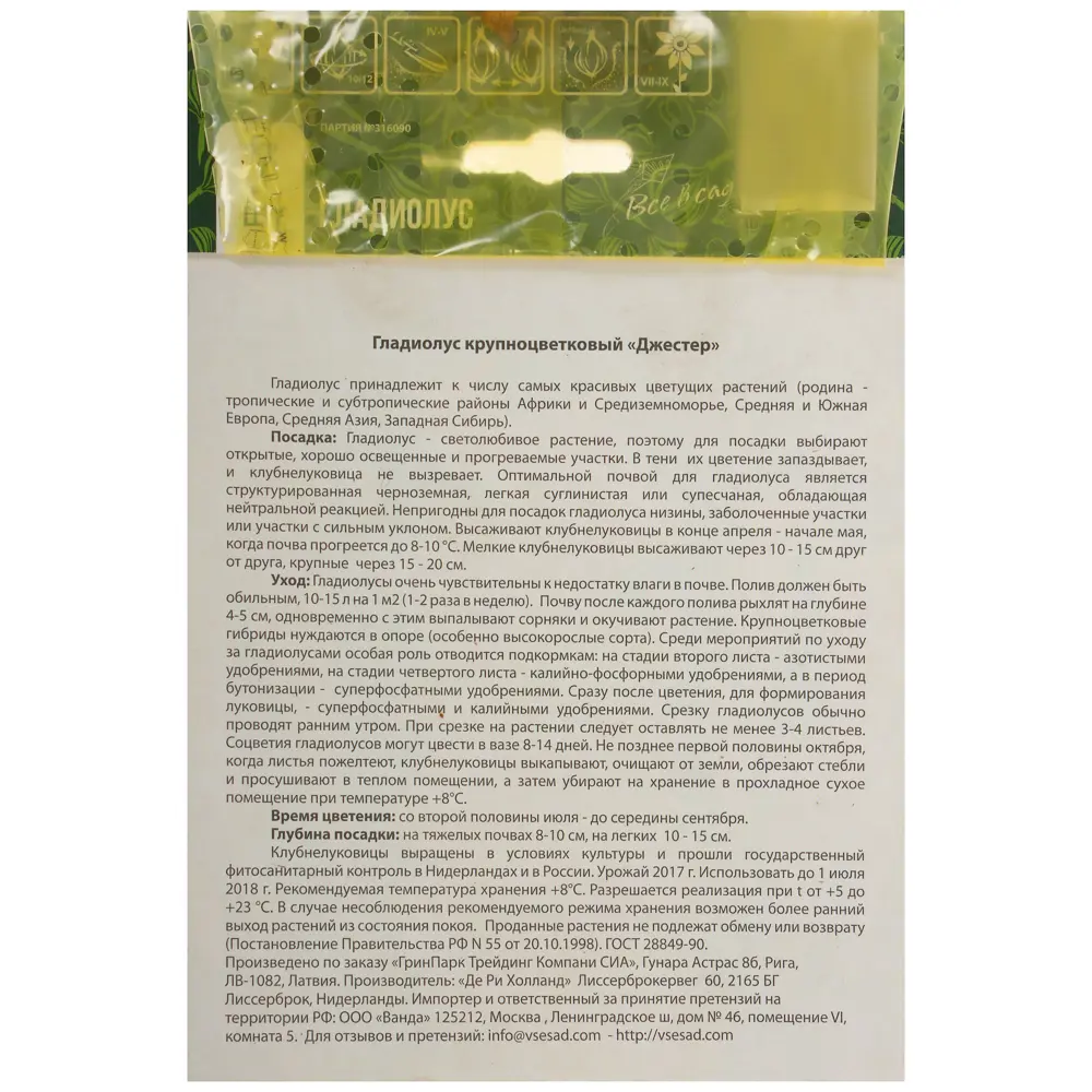 Гладиолус «Джестер» ВСЕ В САД STLM-2065435 - Вид №1