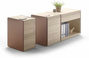 ALKI Модульный деревянный ящик для офиса с замком Heldu