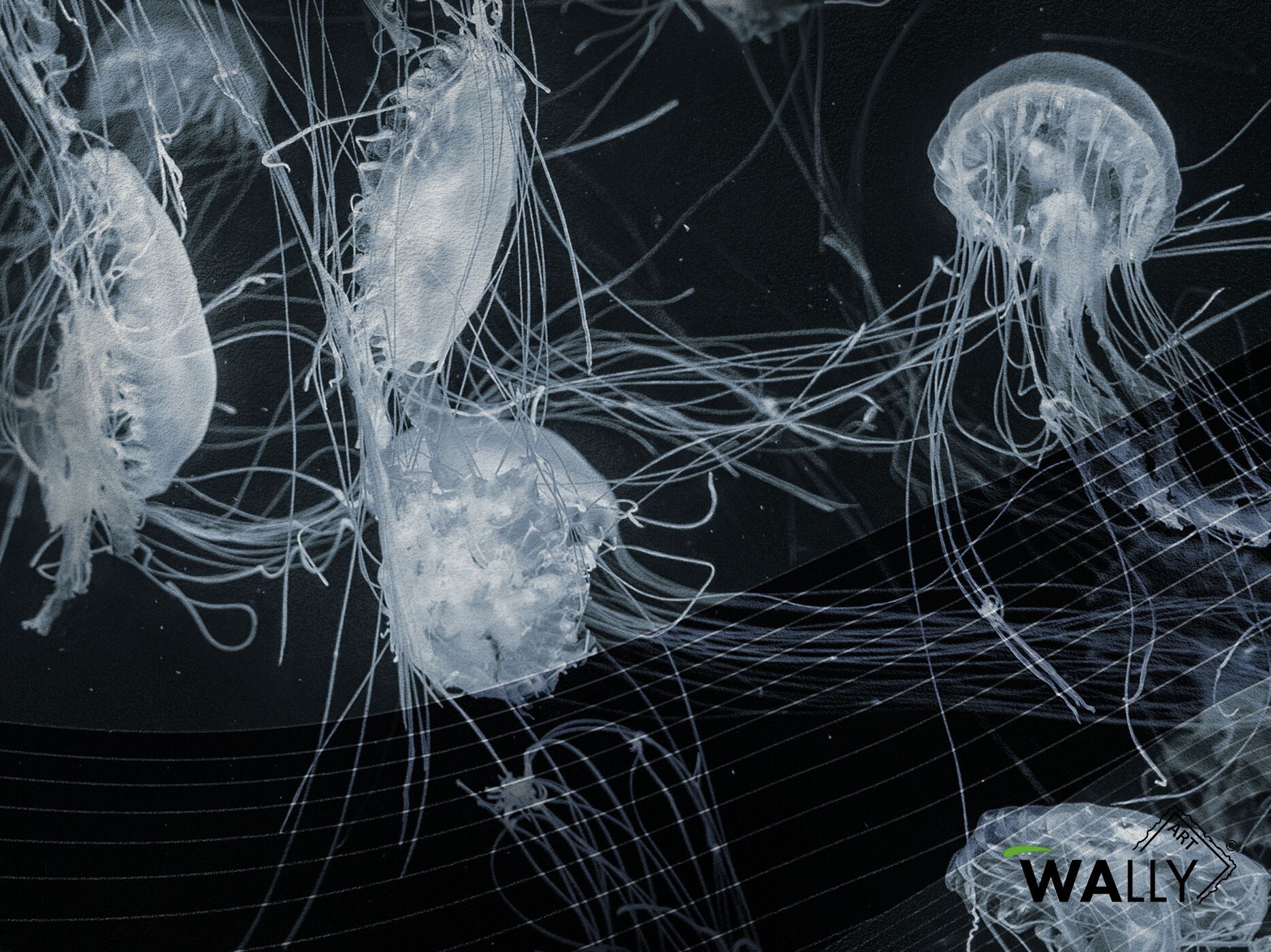 Моющиеся нетканые обои WALLYART ABISSO ARCH-00093234 - Вид №2