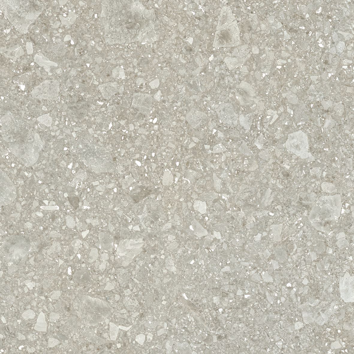 Пол / керамогранит Ergon ломбарда ARCH-00024565 - Вид №1