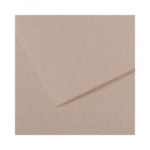 200331427 Бумага для пастели Mi-Teintes 160 г/м2 75 х 110 см лист №426 светло-серый Canson
