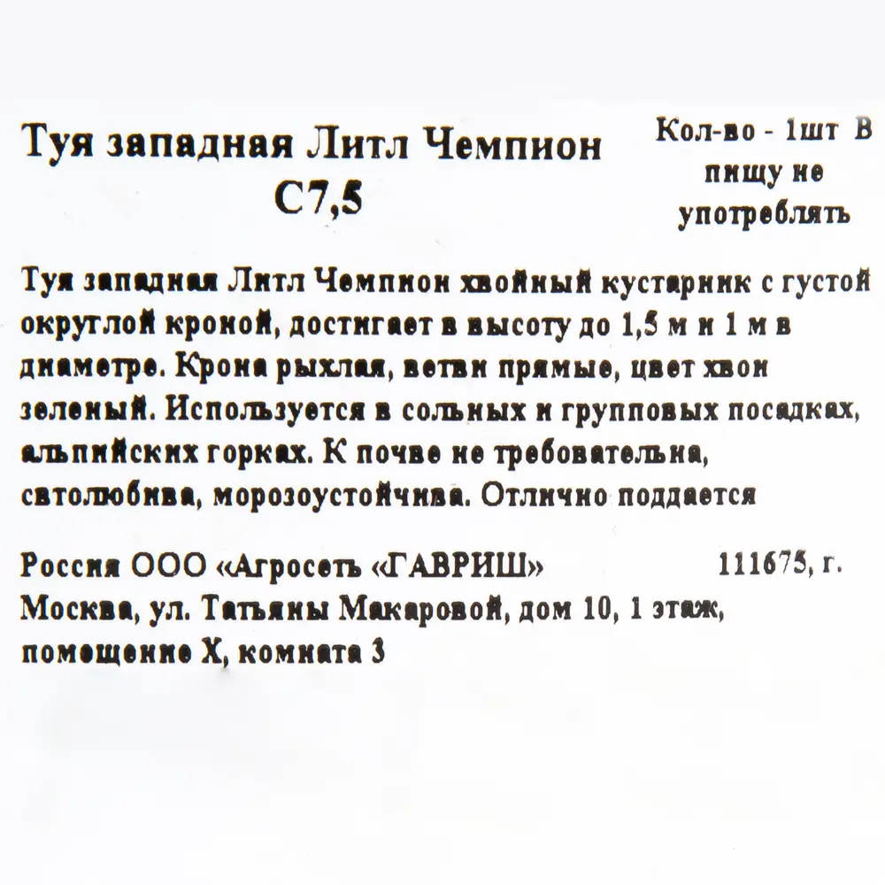 Туя западная «Литл Чемпион» C7.5 ГАВРИШ STLM-2189974 - Вид №1