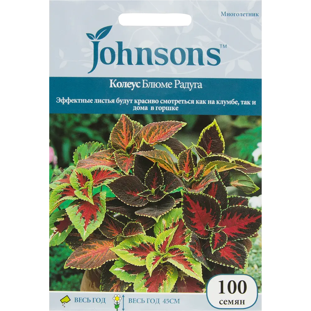 Колеус Блюме «Радуга» 100 шт JOHNSONS STLM-2155293