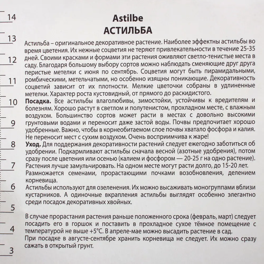 Астильба «Арендса», с капером микс Santreyd STLM-2026105 - Вид №5