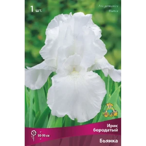 Ирис бородатый Бьянка 89452279 STLM-2138455