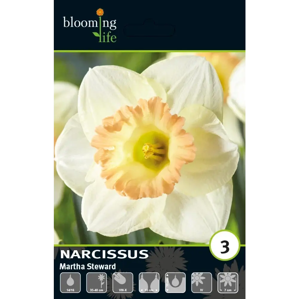 Луковицы нарцисса Марта Стьворд 14/16 - многолетние белые цветы 89432981 Santreyd STLM-1582709