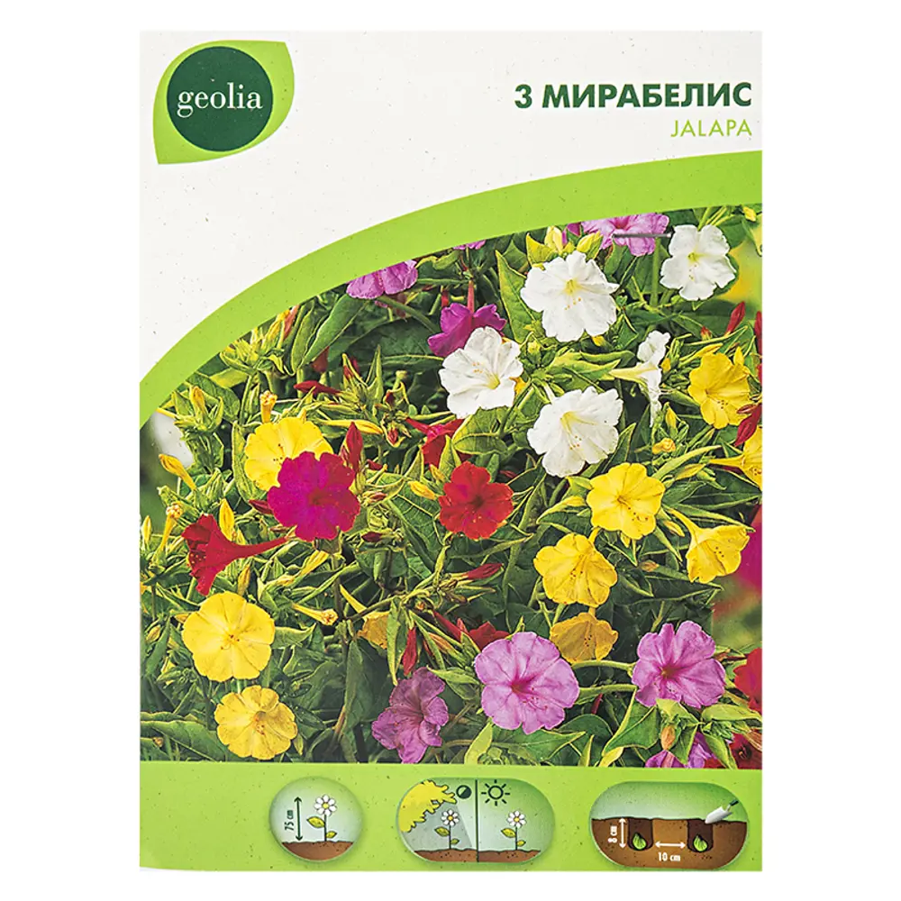 Мирабилис Geolia Jalape No.II 15550638 STLM-2017395 