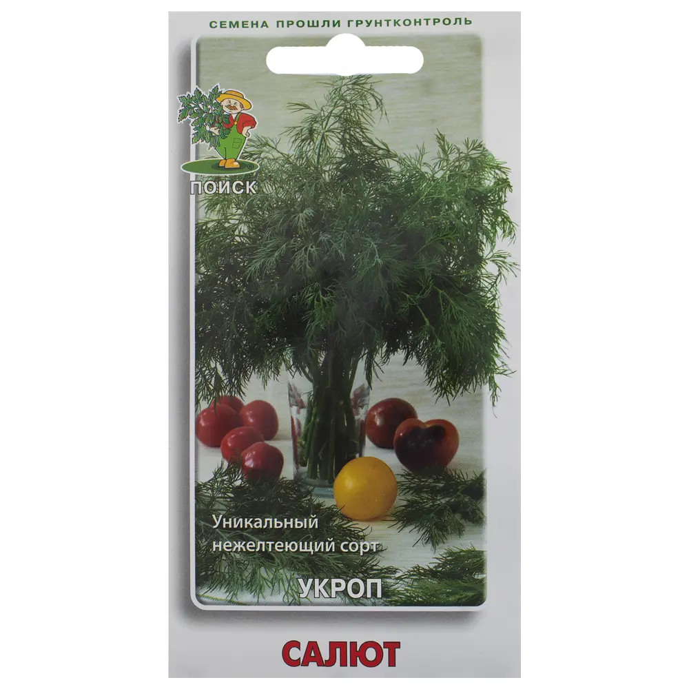 Семена Укроп «Салют» 18358641 STLM-2142307 ПОИСК 