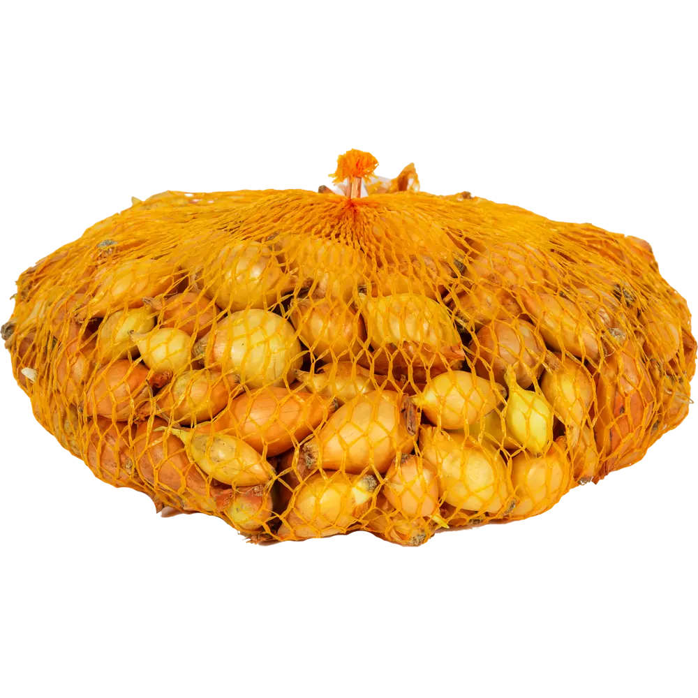 Лук-севок «Шетана», диаметр луковицы 14-21 мм Santreyd STLM-2197386