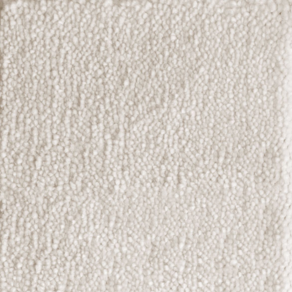 Ковер / Ковер Ademi Резка по запросу - от стены до стены (внутри помещений) ARCH-00103471