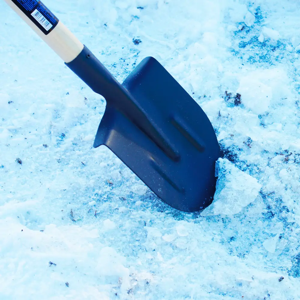 Лопата штыковая остроугольная Zaryapro с черенком ПАВЛОВСКАЯ ЗАРЯ STLM-2148857 - Вид №3