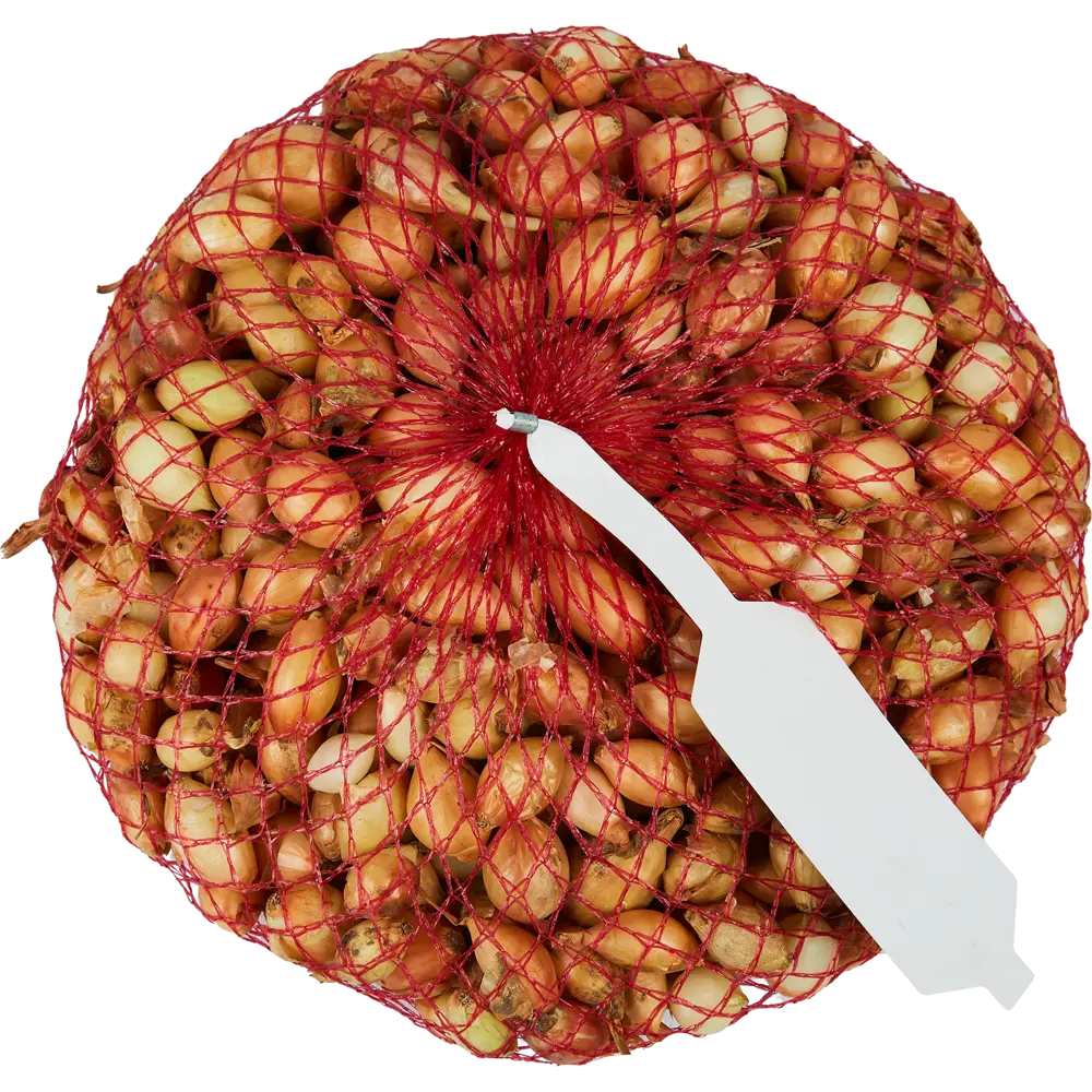 Лук-севок Сеттон 1 кг ПОИСК STLM-2072088