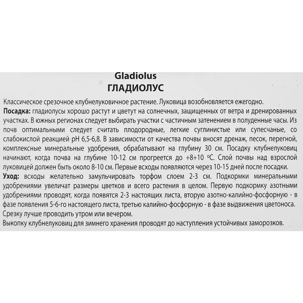 Гладиолус крупноцветковый Волбит, 3 шт ПОИСК STLM-2058543 - Вид №2