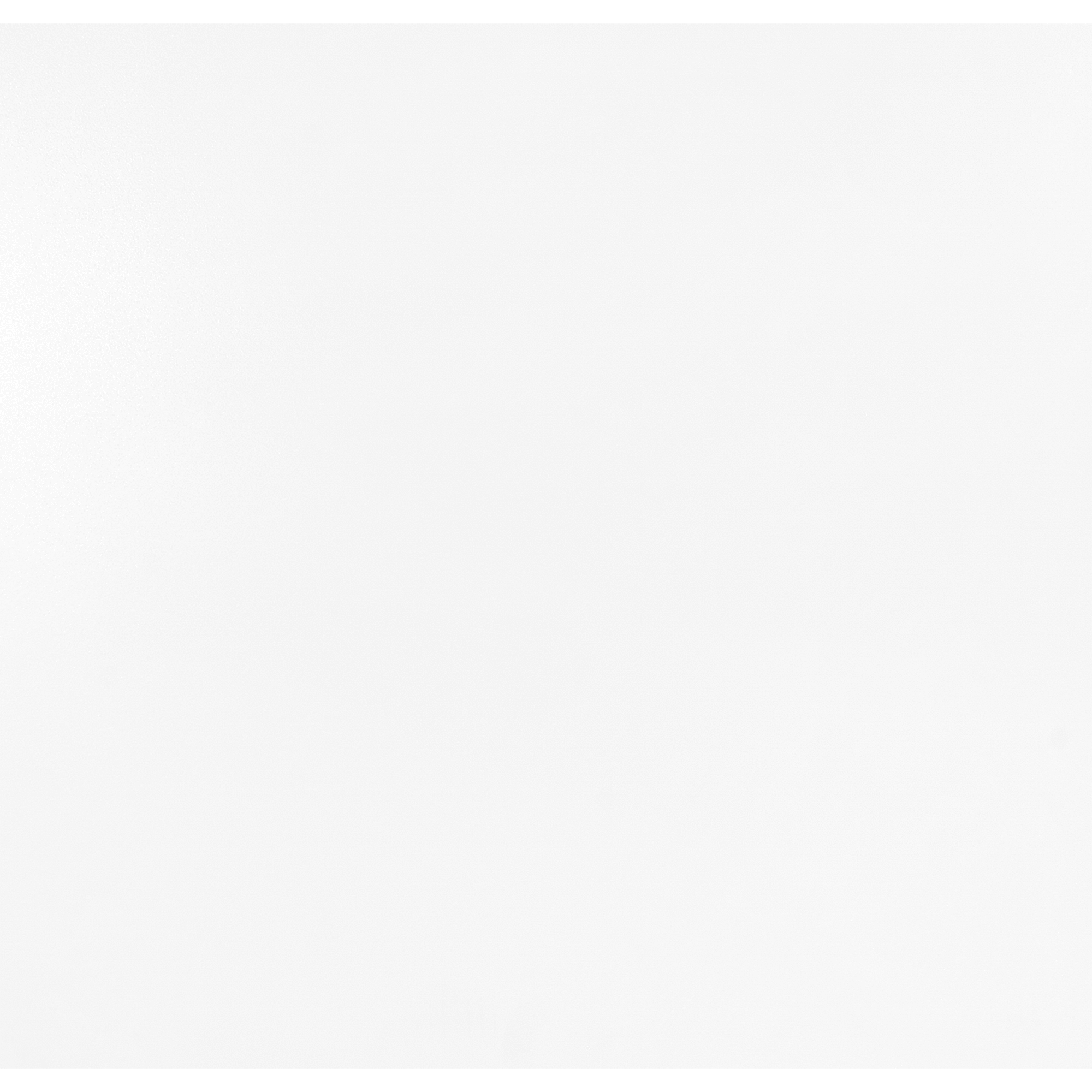 82368931 Полка для шкафа Лион 567x540x16 мм ЛДСП цвет белый 2 шт Santreyd  - Вид №2