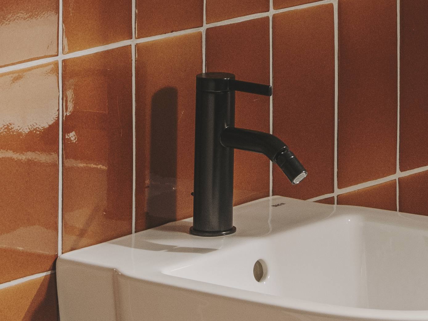 Однорычажный смеситель для биде с регулируемым горлышком Roca Ona ARCH-00093117 - Вид №16