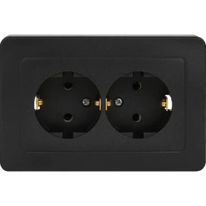 Розетка двойная встраиваемая Hegel Мастер с заземлением цвет черный