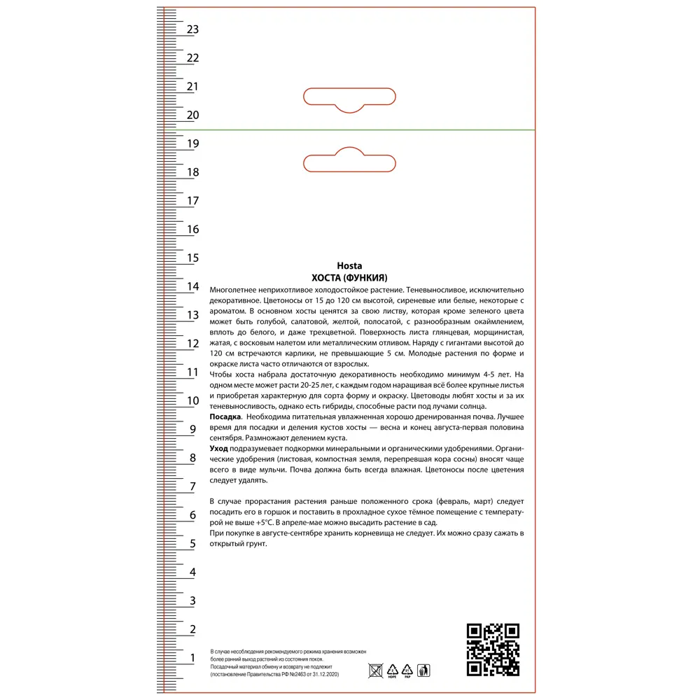 Хоста гибридная Огуст Мун ПОИСК STLM-2095442 - Вид №1