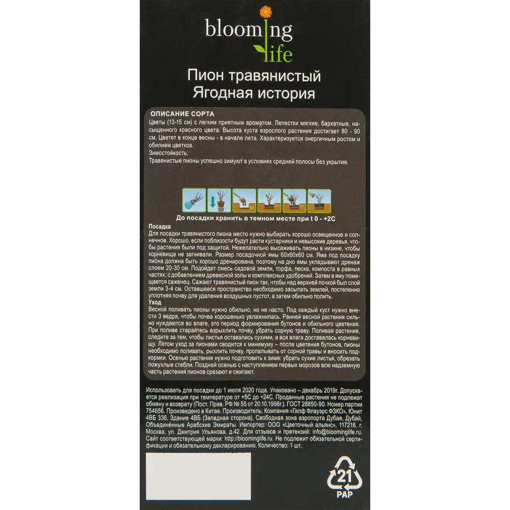 Пион травянистый Ягодная история в тубе BLOOMING LIFE STLM-2159485 - Вид №1