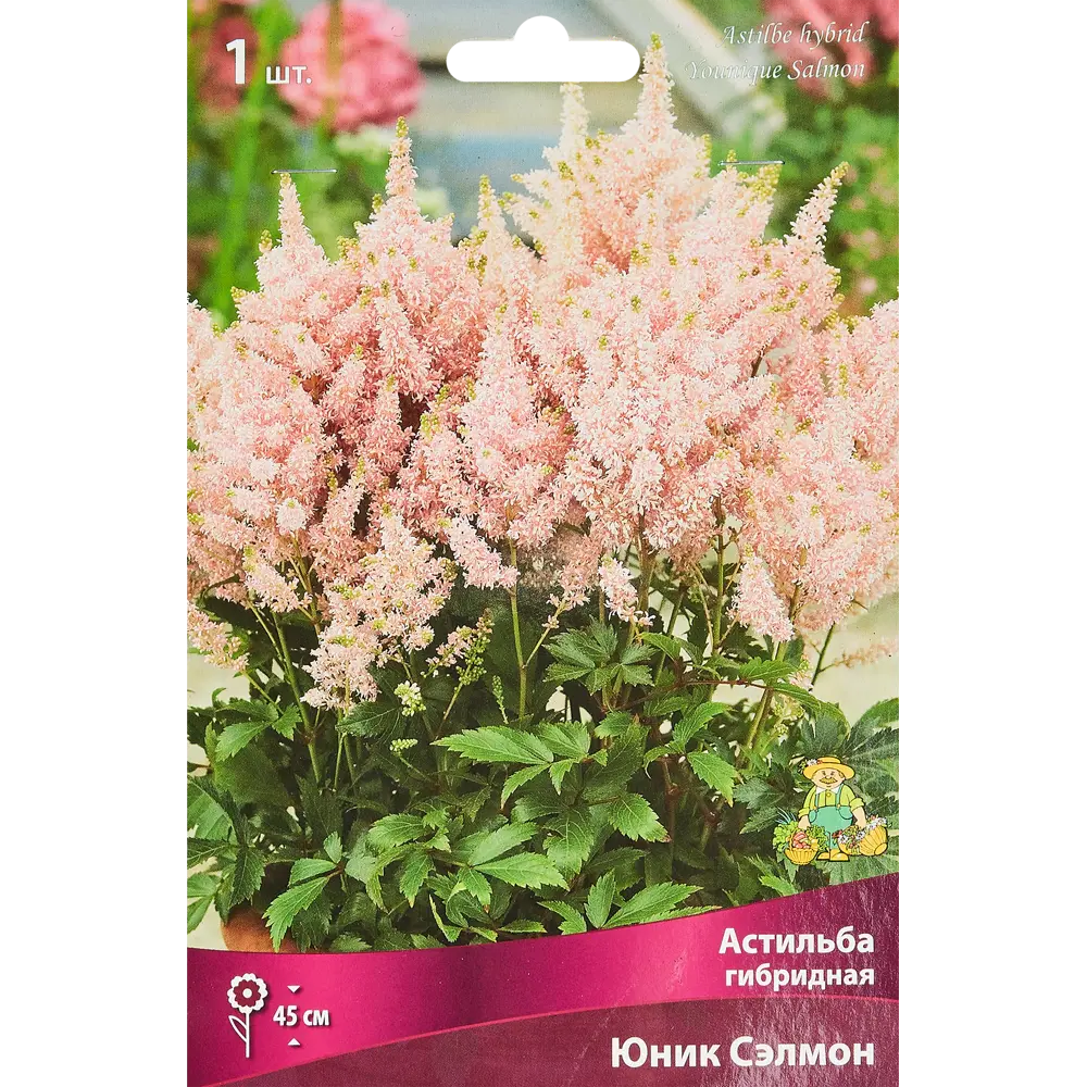 Астильба Юник Сэлмон ПОИСК - нежно-розовое облако для тенистого сада 89351840 STLM-1568601