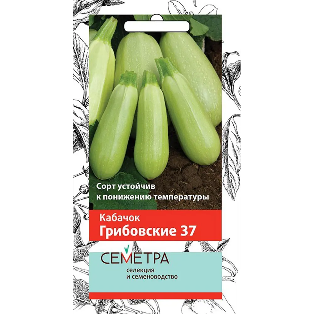Семена Кабачок «Грибовские 37» 83147283 STLM-2045719 ПОИСК 