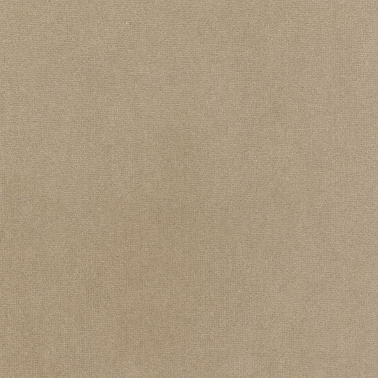 Бархатная однотонная ткань Élitis Palatine ARCH-00143253 - Вид №48