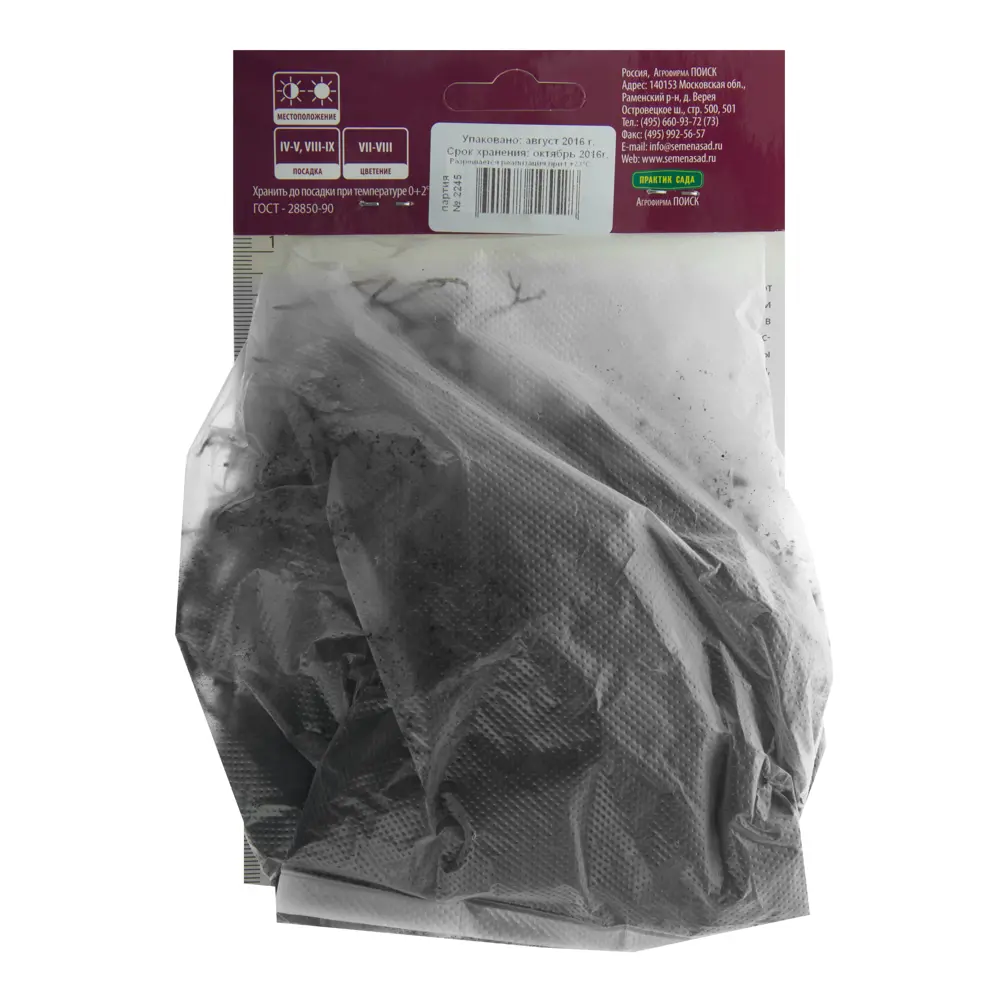 Хоста гибридная «Шуга энд Спайс» Santreyd STLM-2068596 - Вид №1