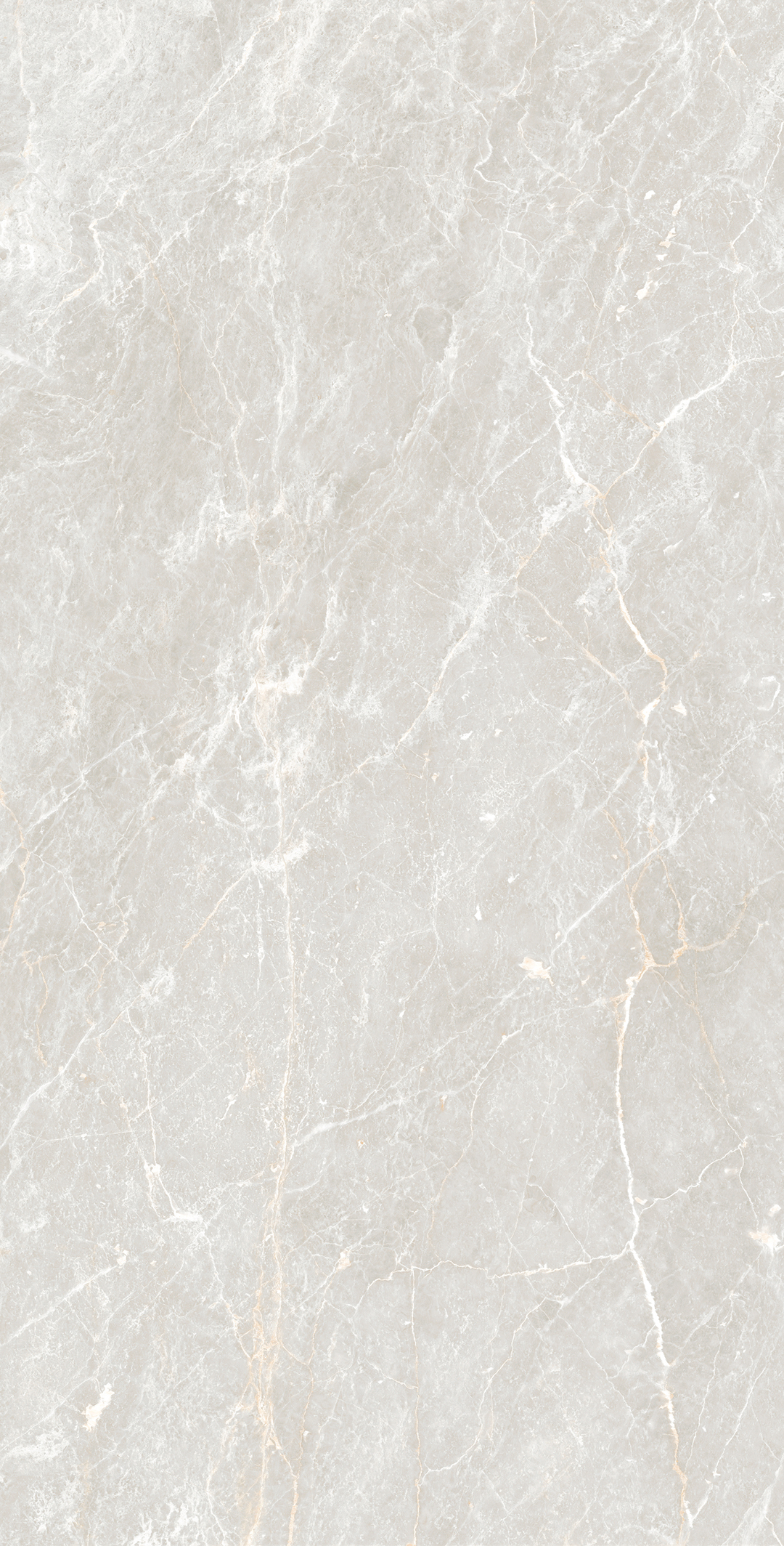 Керамогранит ORION BEIGE 60х120 Arcadia Ceramica CR4032-A  - Вид №6