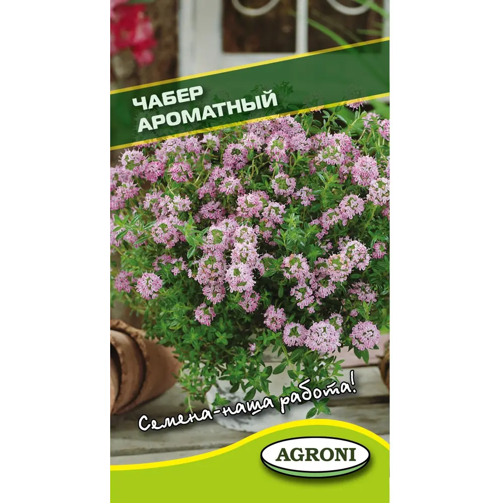 Семена чабера Ароматный AGRONI - пряная зелень для сада и кухни 89400857 STLM-1576708
