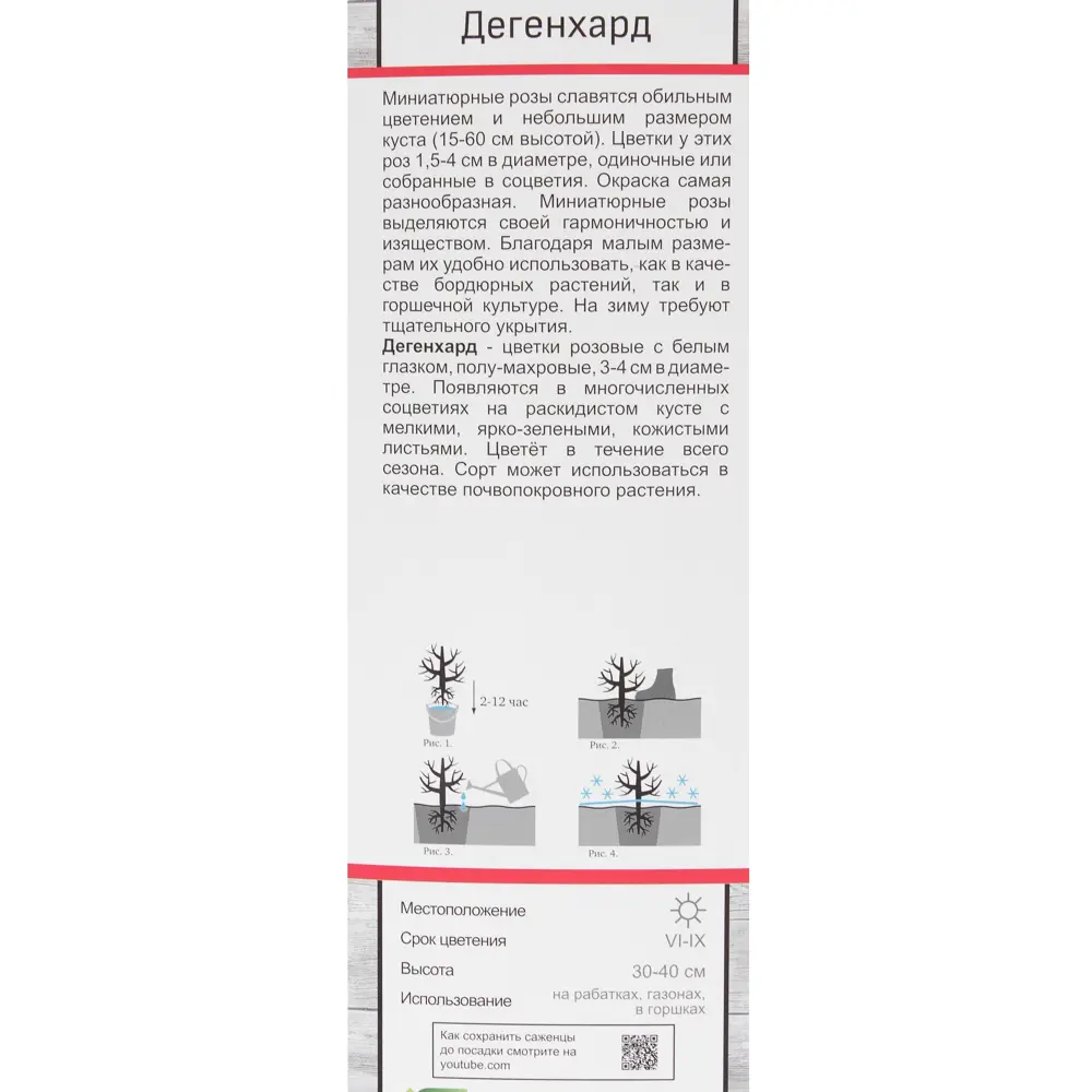 Роза миниатюрная «Дегенхарт» 81951216 STLM-2138368 Santreyd  - Вид №2