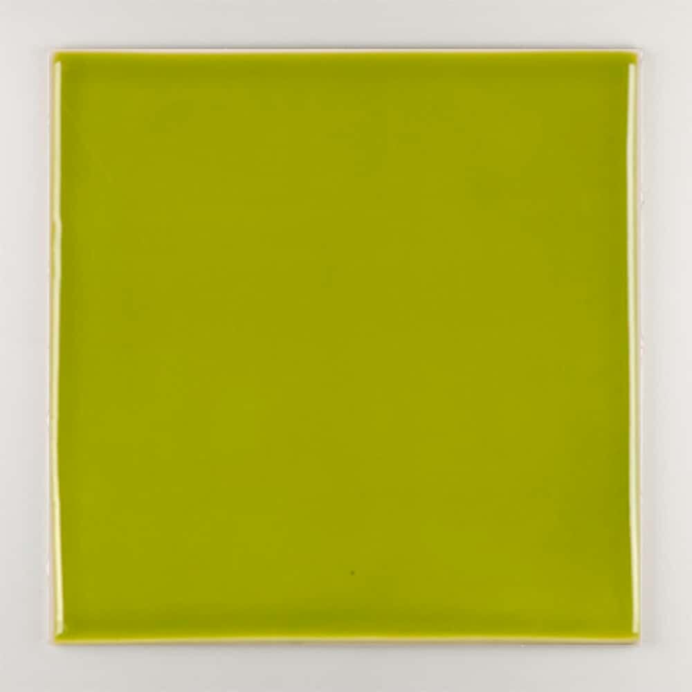 Пол / покрытие ручной работы La Riggiola одноцветный ARCH-00005067 - Вид №33