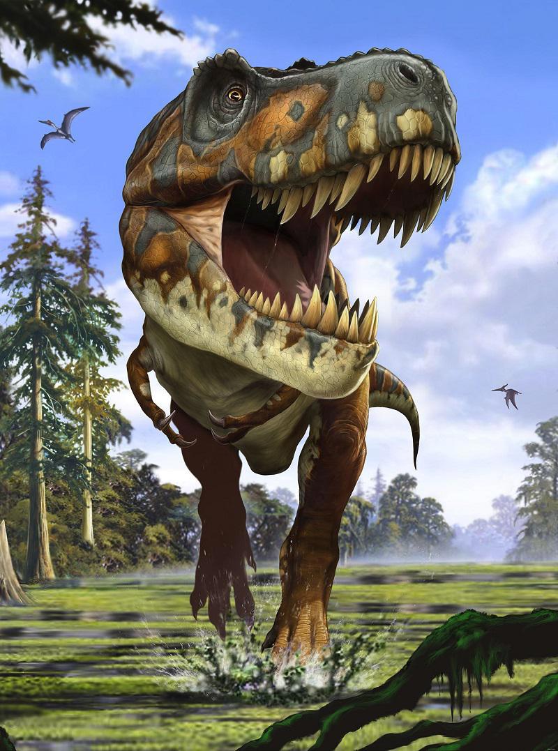 93720464 Фотообои NATIONAL GEOGRAPHIC "Тираннозавр (Tyrannosaurus Rex )" 184смх2,48м флизелиновые STLM-0554962 KOMAR