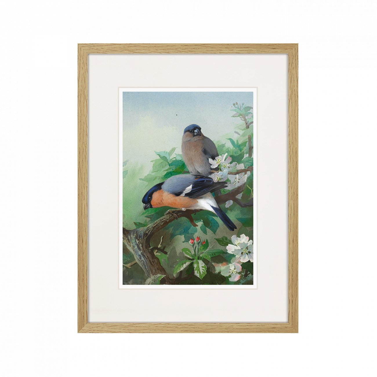 Литография на тонированной бумаге 42х32 см Bullfinches, 1915г. КАРТИНЫ В КВАРТИРУ  264327 Белый;коричневый;разноцветный  - Вид №1