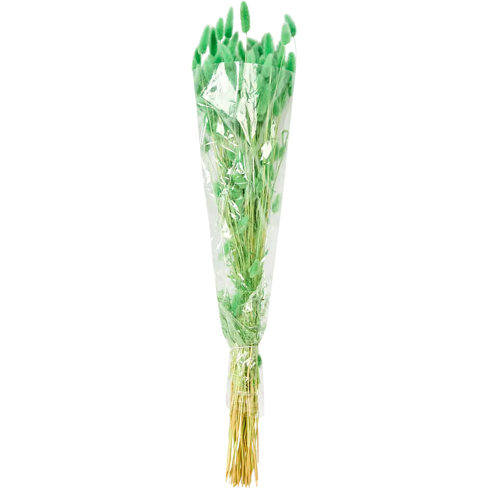 Букет из сухих цветов Лагурус микс 2 70 см Santreyd STLM-2185331 - Вид №5