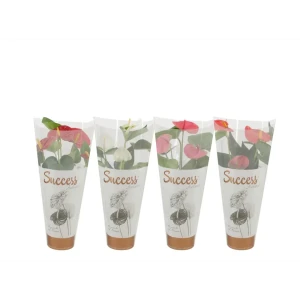 Антуриум Суксес Рэд красный ø14 h45 см