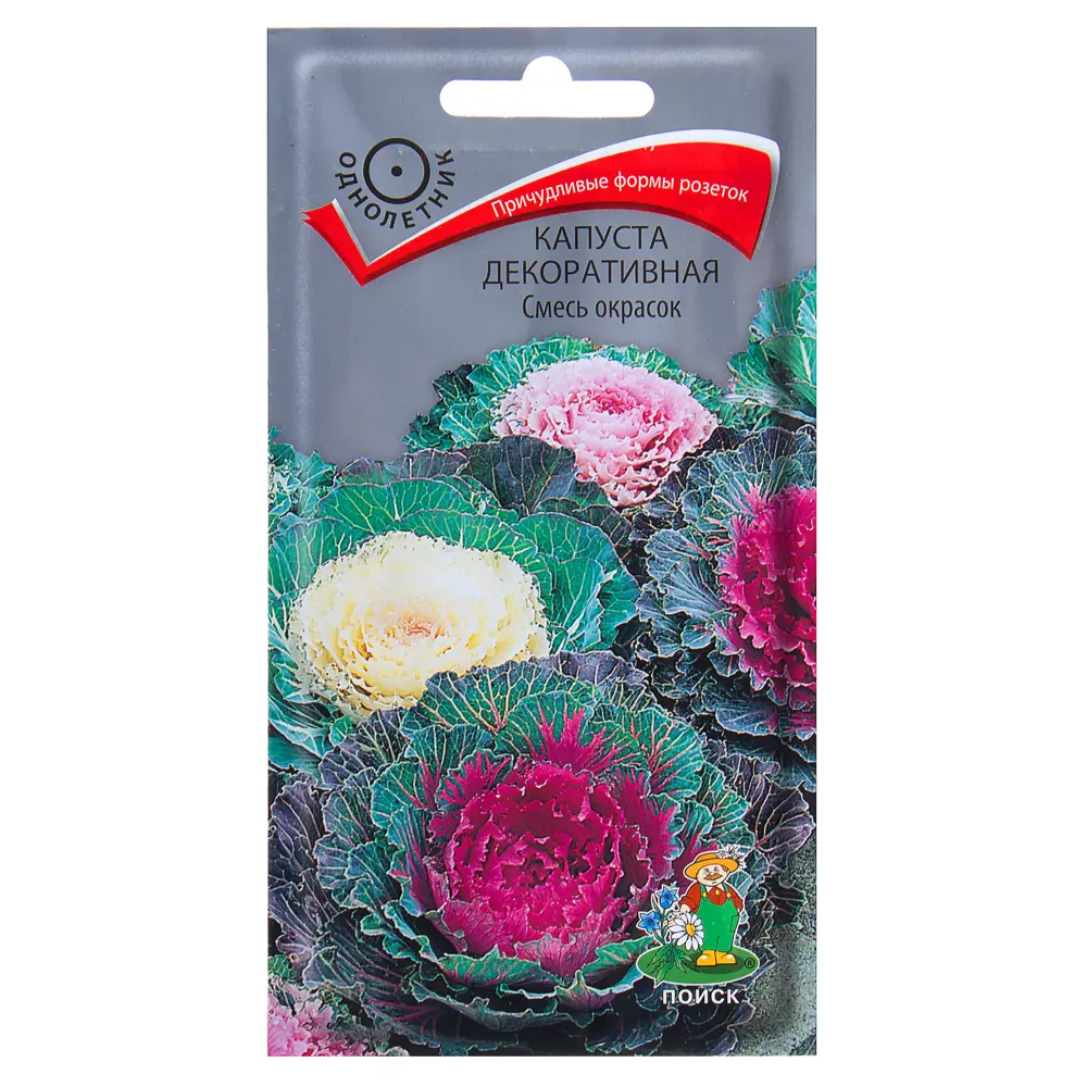 Капуста декоративная микс ПОИСК STLM-2168487
