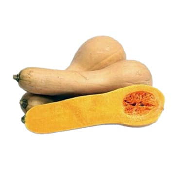 Тыква Гитара 1 - 4 кг Santreyd 24506