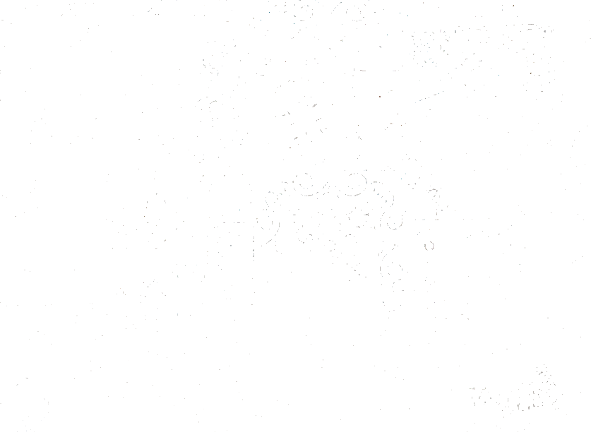 WALLYART Огнестойкие моющиеся флизелиновые обои с рисунком Lacollezione 0157  - Вид №2