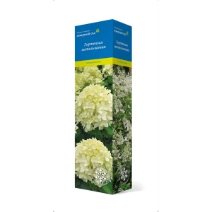 Гортензия метельчатая микс ø9 h39 см 83738703 STLM-2176444