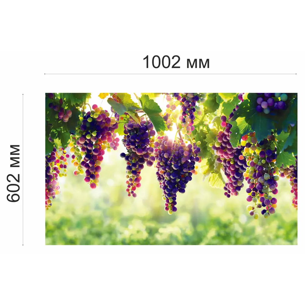 Листовая панель ПВХ Виноград 1002x602x0.5 мм 0.6 м² GRACE STLM-2104298 - Вид №4