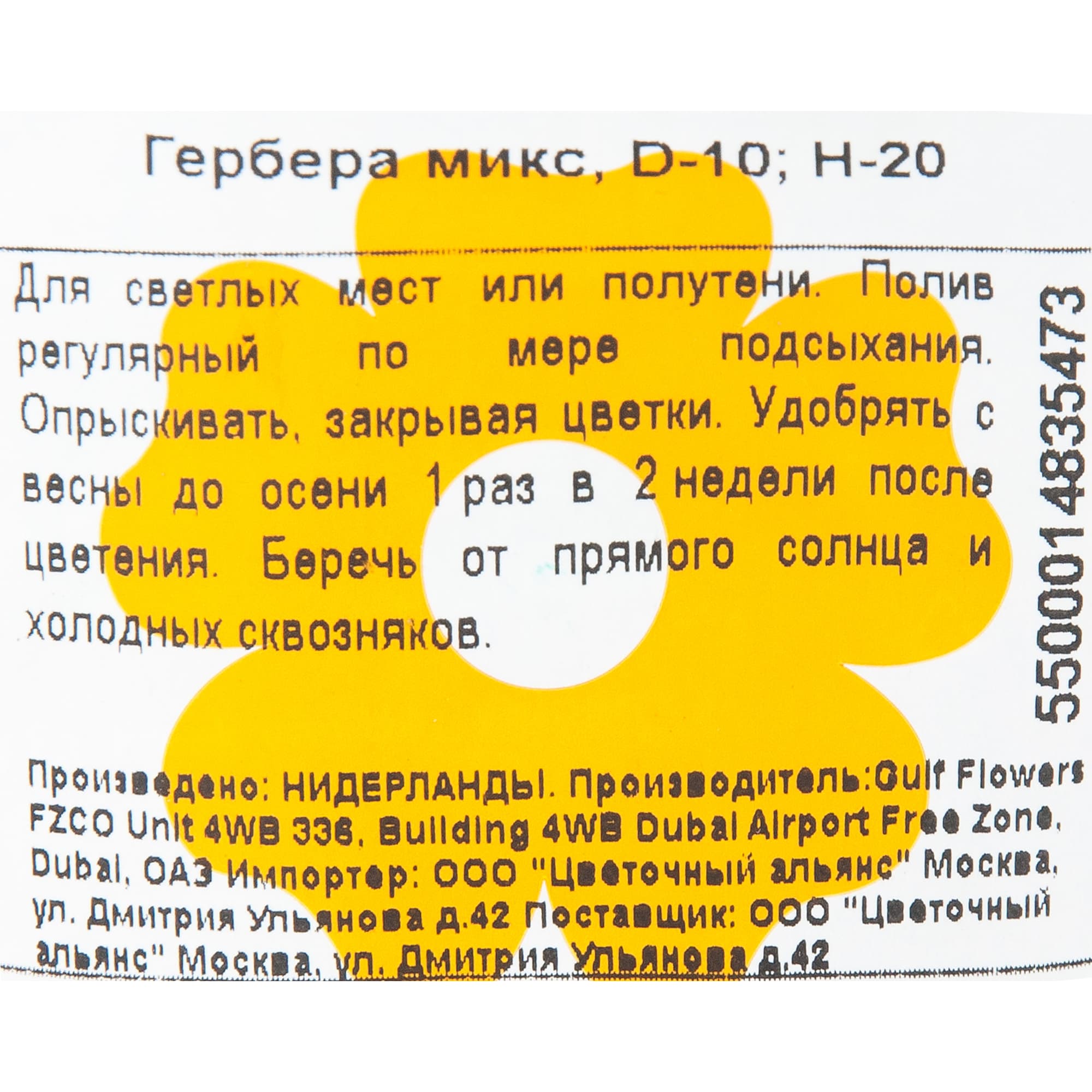 82548613 Гербера микс 10х20 см Santreyd  - Вид №2