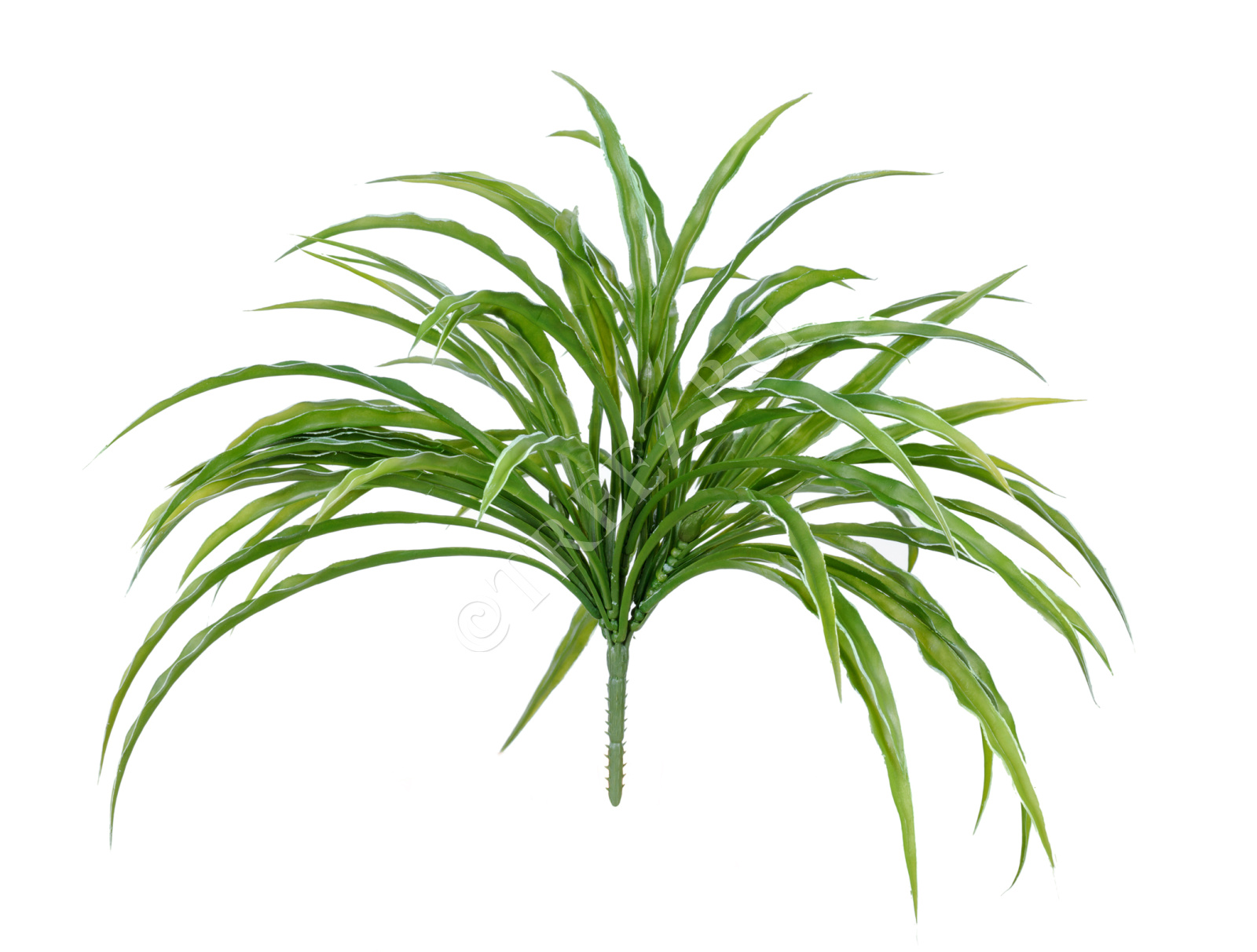 20.091401GW Трава Ванилла Грасс бело-зелёная Цветочная коллекция 