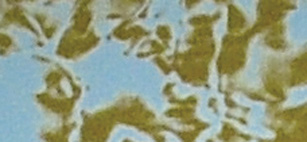 3111408 Фольга "восковая", Cracelle, 20x10 см, упаковка 1 шт., цвет светлый синий Santreyd 