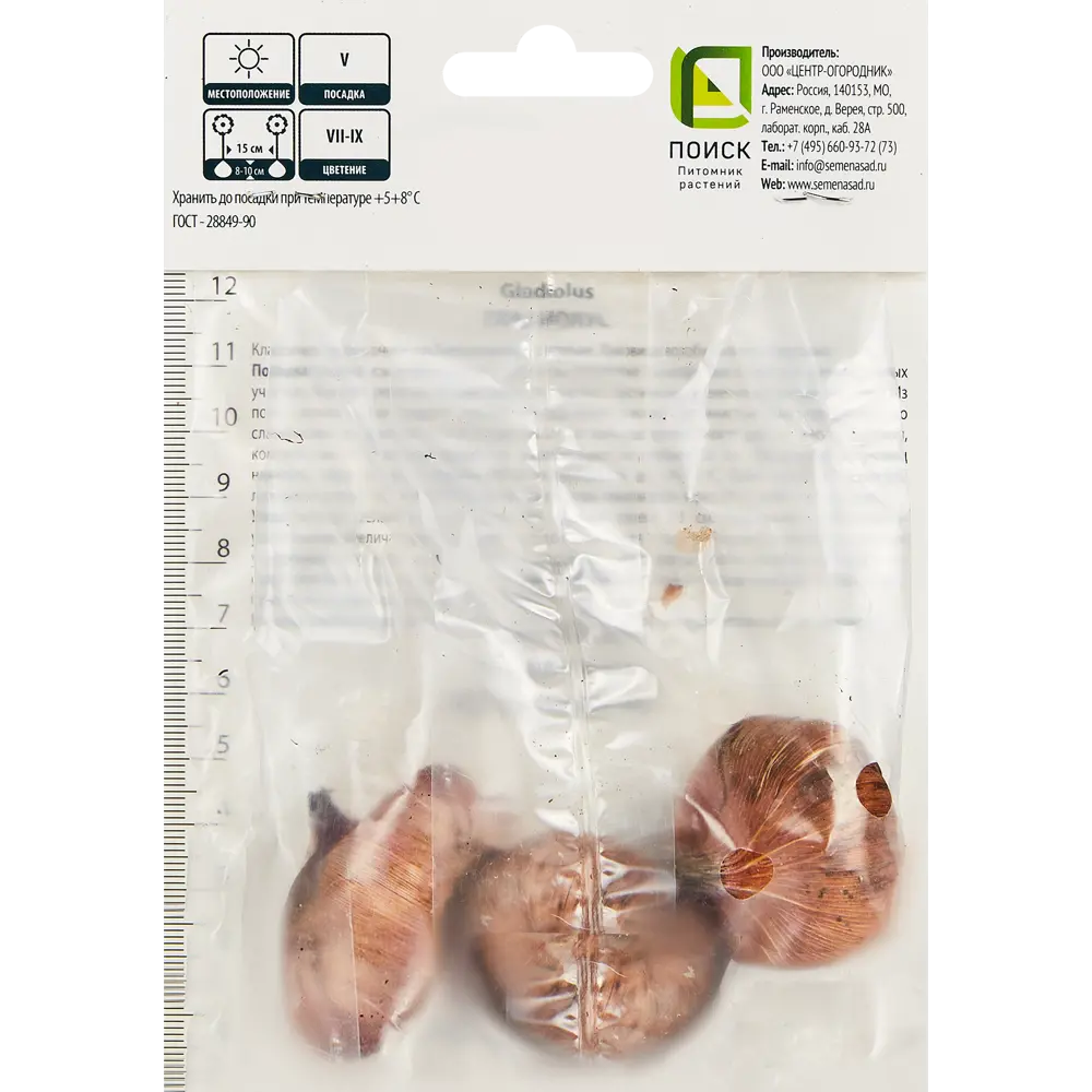 Гладиолус крупноцветковый Блу Берд, 3 шт ПОИСК STLM-2187025 - Вид №1