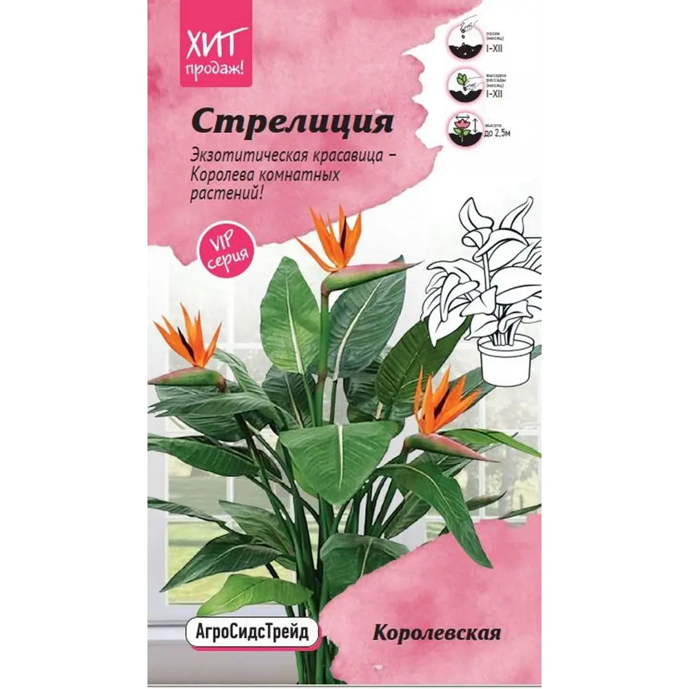 Семена цветов Агросидстрейд стрелиция Королевская 3 шт STLM-2041453